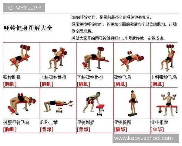 家庭哑铃健身计划轻松打造完美身材的全方位指南