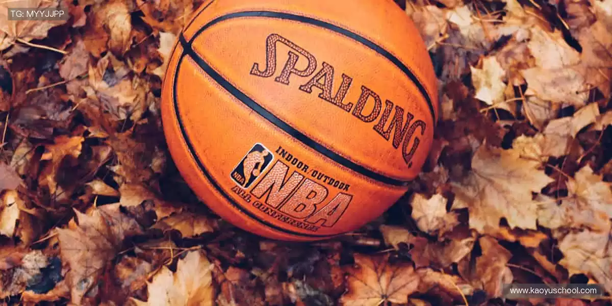 独家视角解读赛事,深度剖析战术精髓🎙️